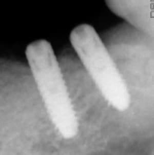 Xyzdk5oq3v6yo3wjq0ro1borhpru - Eugenol