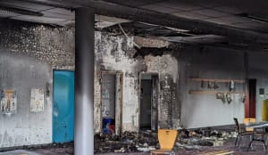 Yynvosvhyca6l2qfh5pgsvobgxex - Eugenol