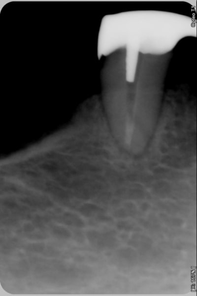 001 aftvkf - Eugenol