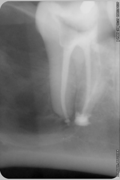 006 s8zpts - Eugenol