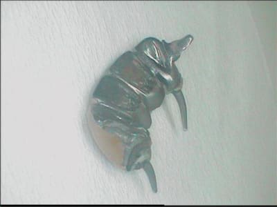 007 wfyu6e - Eugenol