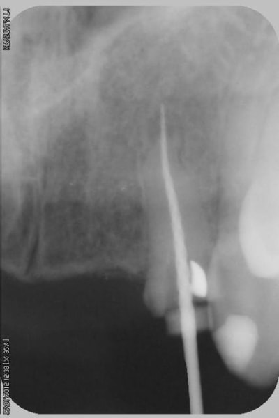 008copier wbju93 - Eugenol