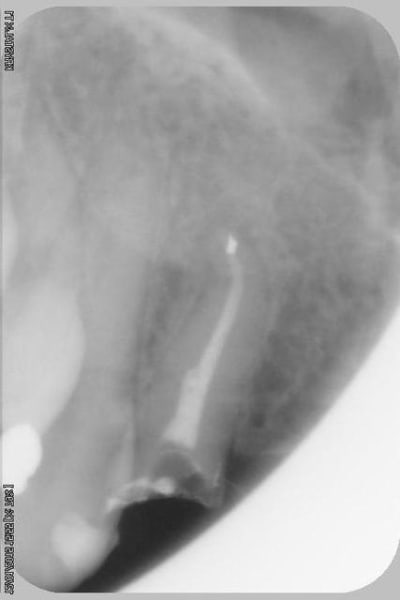 013copier i9y3do - Eugenol