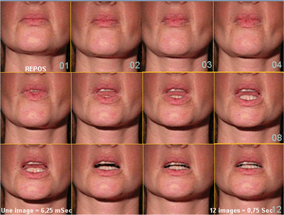 01 dsd 6ms alrz5d - Eugenol