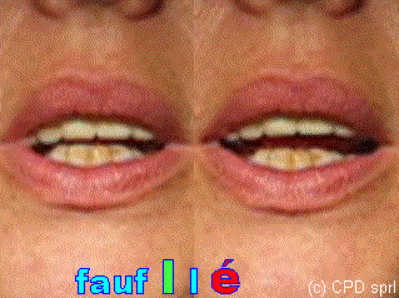 02 fauf i l e srwt1m - Eugenol