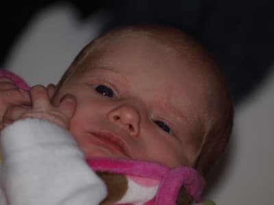 035 nrwiwz - Eugenol