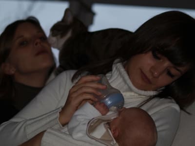 049 apedm7 - Eugenol