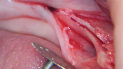 100 0593 l67mly - Eugenol