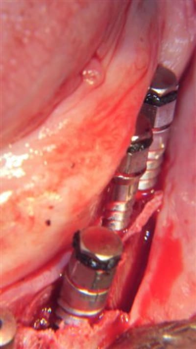 100 0620 fpzgqk - Eugenol