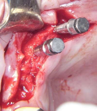 100 5355 eeoklx - Eugenol