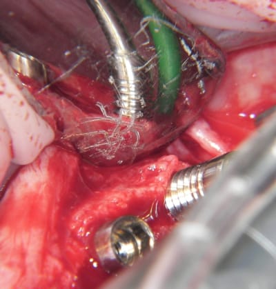 100 5375 jqbsmq - Eugenol