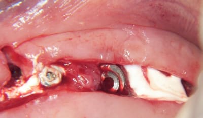 100 5405 fjnrjb - Eugenol