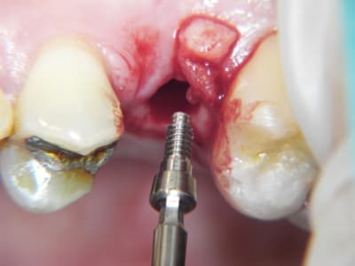 100 6428 jzserk - Eugenol