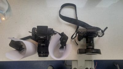 10476377 10203986441794192 4225110805245846765 o mvwob4 - Eugenol