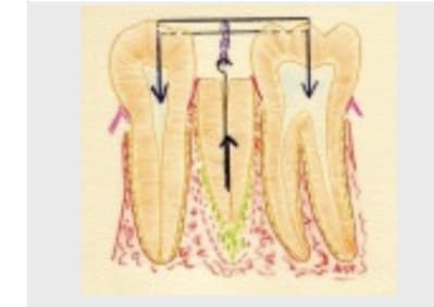 1513a2be 03bb 40c3 87d1 31813ad7329d vlvzsc - Eugenol