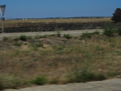 201007118 008 lrizbx - Eugenol