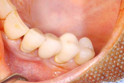 2011 09 15 010 b36rpv - Eugenol