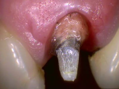 22prep jcaotu - Eugenol