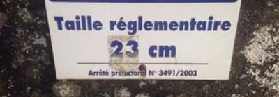 23 cm dbclpp - Eugenol