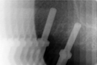 2  800x600  nsd3zz - Eugenol