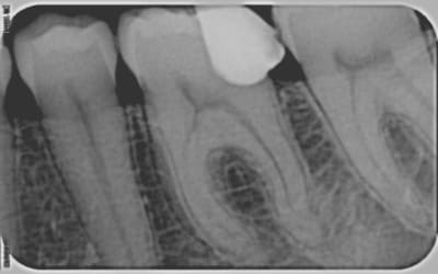 36 s7j83d - Eugenol