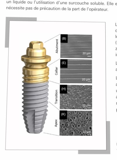 52fb74fe 2f8c 43aa 8d4e 0418cc87c48e thko83 - Eugenol