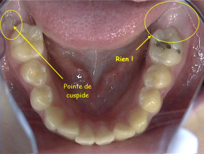 5663 0 ocbjlc - Eugenol