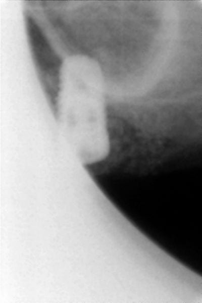 5  800x600  jgi5zz - Eugenol