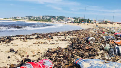 5edf5d9f81186 plage ok 3773551 ayxbyx - Eugenol