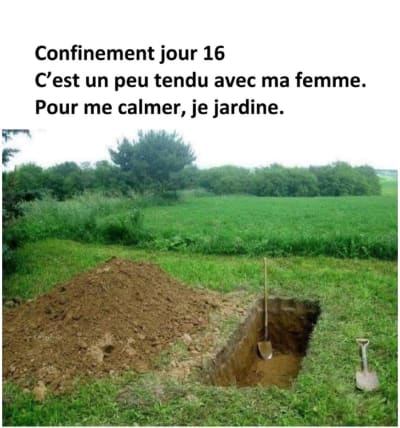 675c5eb4 d7da 43f7 9a5a 0086eddff507 iv8xne - Eugenol