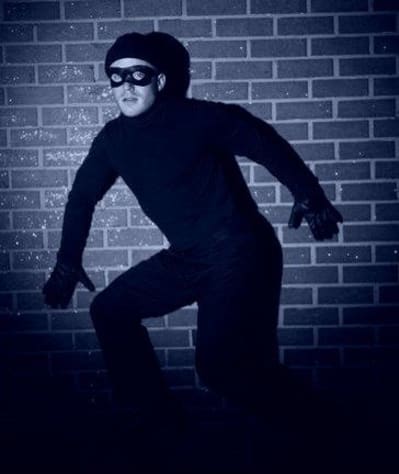 6a00d8341c609053ef010536bab938970c 800wi y1tutu - Eugenol