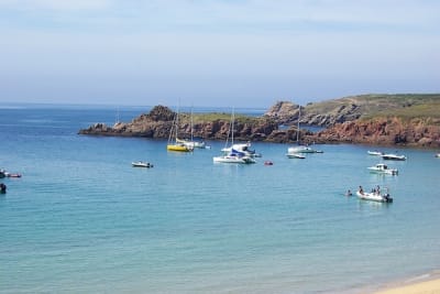 7711 6 xlee5y - Eugenol