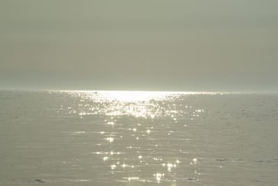 8214 6 ckbs0z - Eugenol