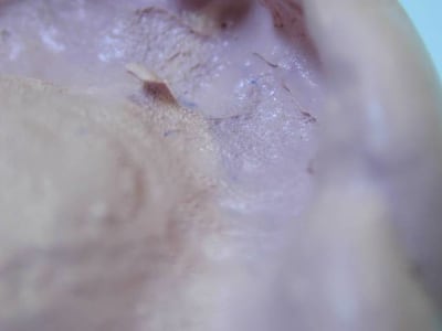 852 yqa7sy - Eugenol