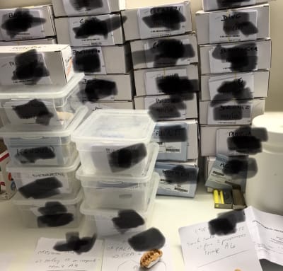 88a65441 fd08 4e11 bcfd 2bb26f626c04 f17dh9 - Eugenol