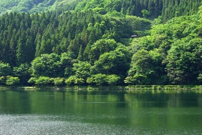 Aky  5  vyxprb - Eugenol