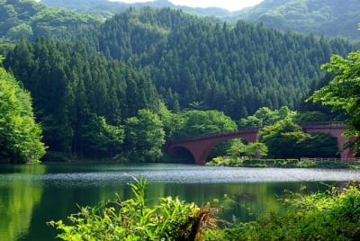 Aky  6  sldgih - Eugenol