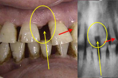 Artefact f4ov0j - Eugenol