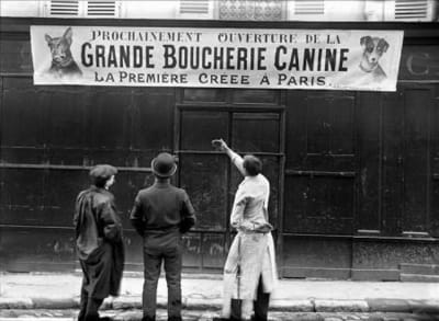 Boucherie canine paris w5acnn - Eugenol