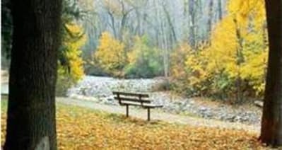 Comptempler le paysage... - Eugenol