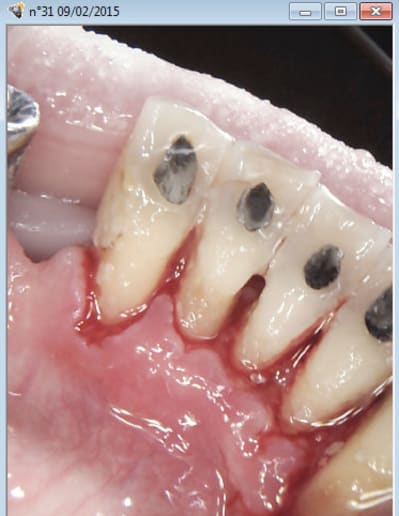 Capture d e cran 2015 02 09 10.04 - Eugenol