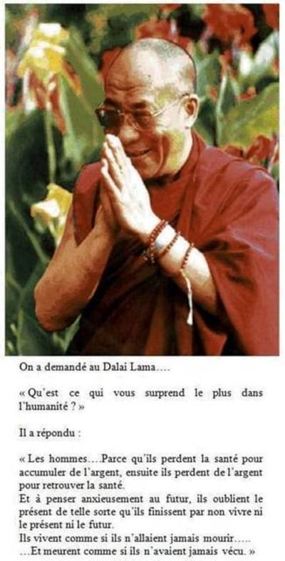Dalai lama  vpmupw - Eugenol