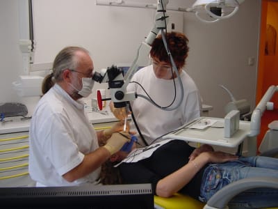 Dsc00086 o9qouf - Eugenol