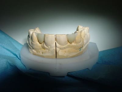 Dsc00090 mq4djg - Eugenol