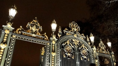 Dsc01251 vgiimf - Eugenol