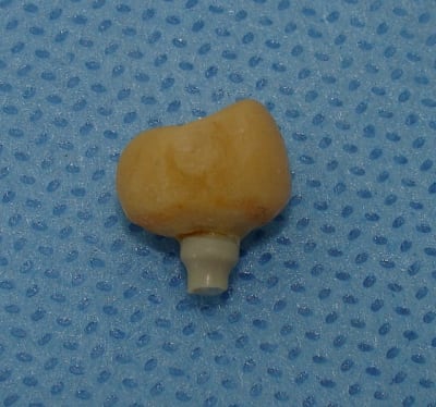 Dsc04390 odjr70 - Eugenol