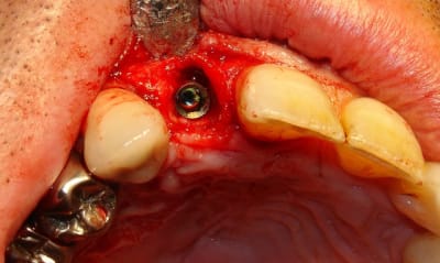 Dsc09769 sp4rlq - Eugenol