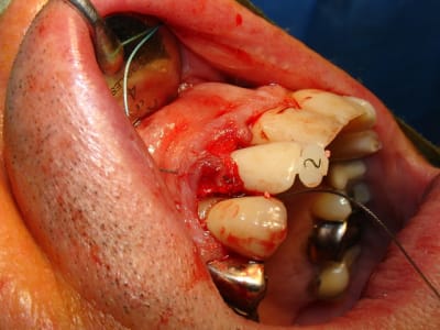 Dsc09781 xr4vdg - Eugenol