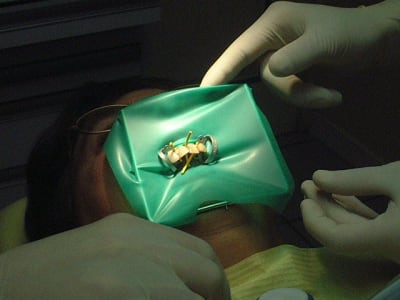 Dscf0021 nrpulq - Eugenol