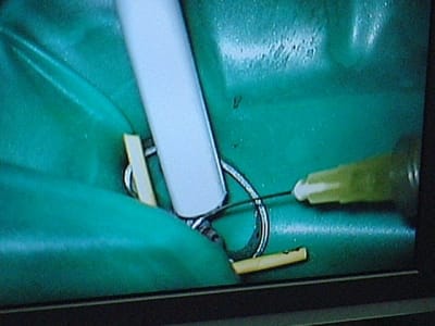 Dscf0091 h2k0v5 - Eugenol